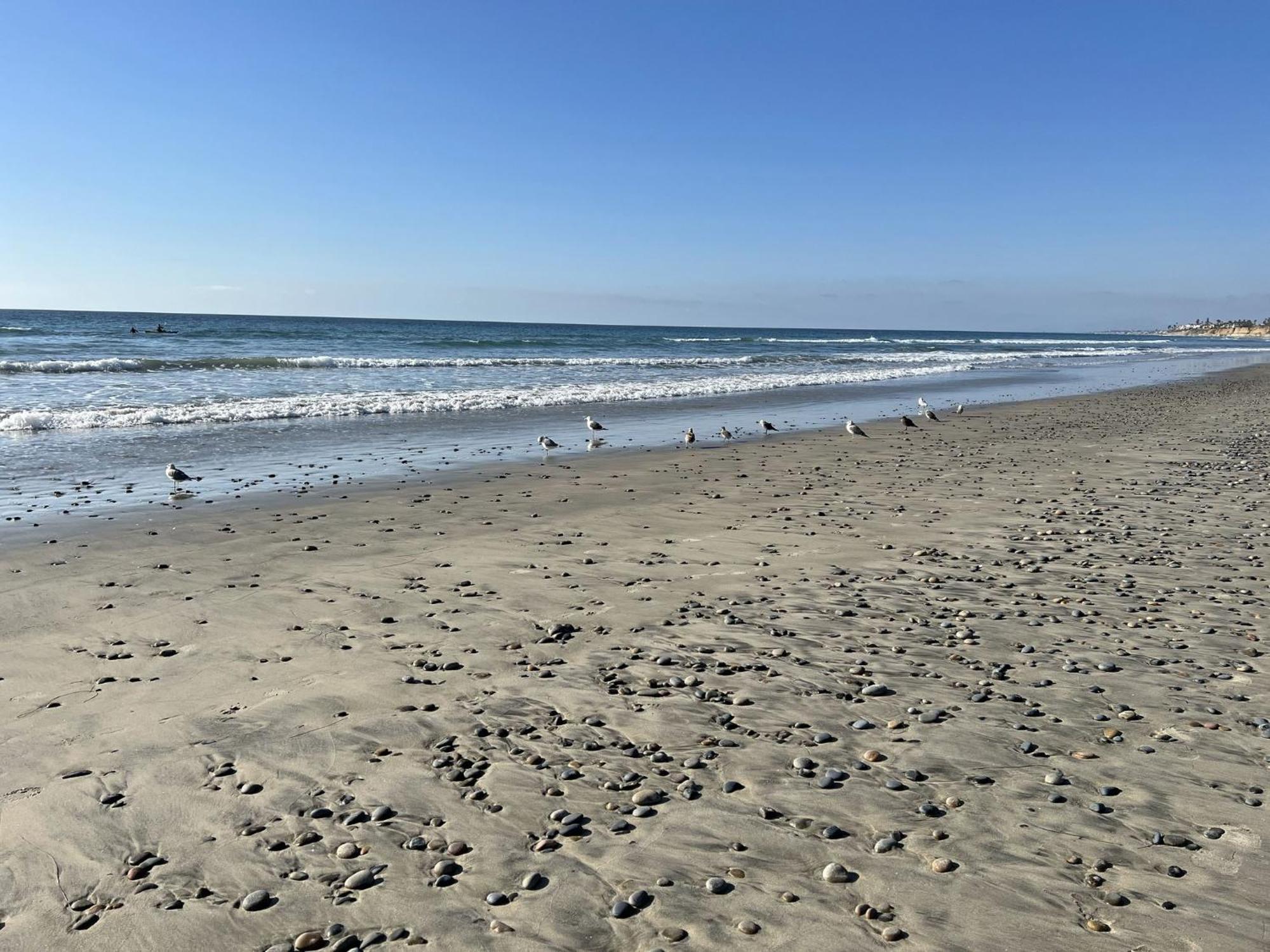 Holiday Inn Carlsbad/San Diego By Ihg Kültér fotó