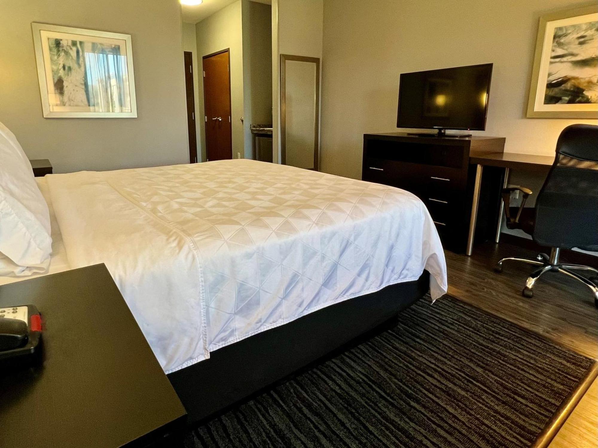 Holiday Inn Carlsbad/San Diego By Ihg Kültér fotó